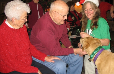 Therapy Dog
